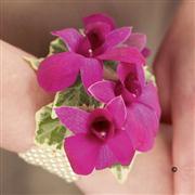 Purple Dendrobium Orchid Wrist Corsage
