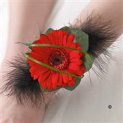 Red Gerbera and Feather Wrist Corsage
