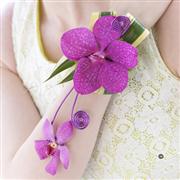 Pink Orchid Wrist Corsage