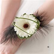 White Gerbera and Feather Wrist Corsage