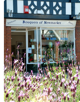 Our Flower Shop in Newmarket